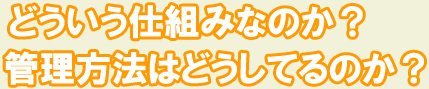 管理方法はどうしてるのか？